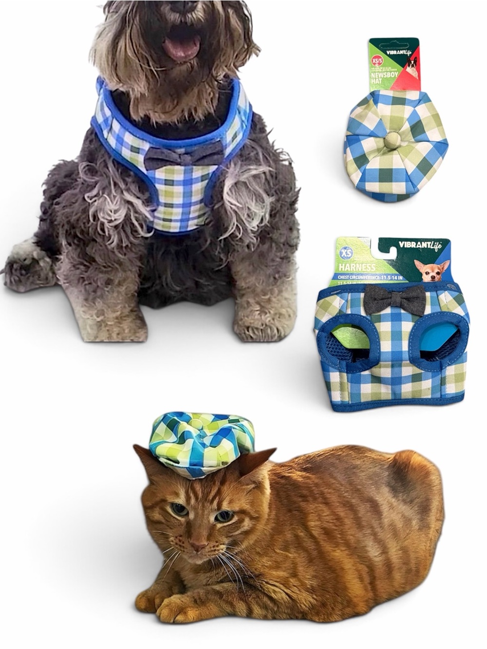 Vibrant Life Dog Plaid Bow Tie Harness & Newsboy Hat